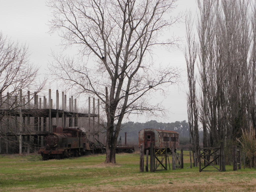 Foto: Campanópolis - González Catán (Buenos Aires), Argentina