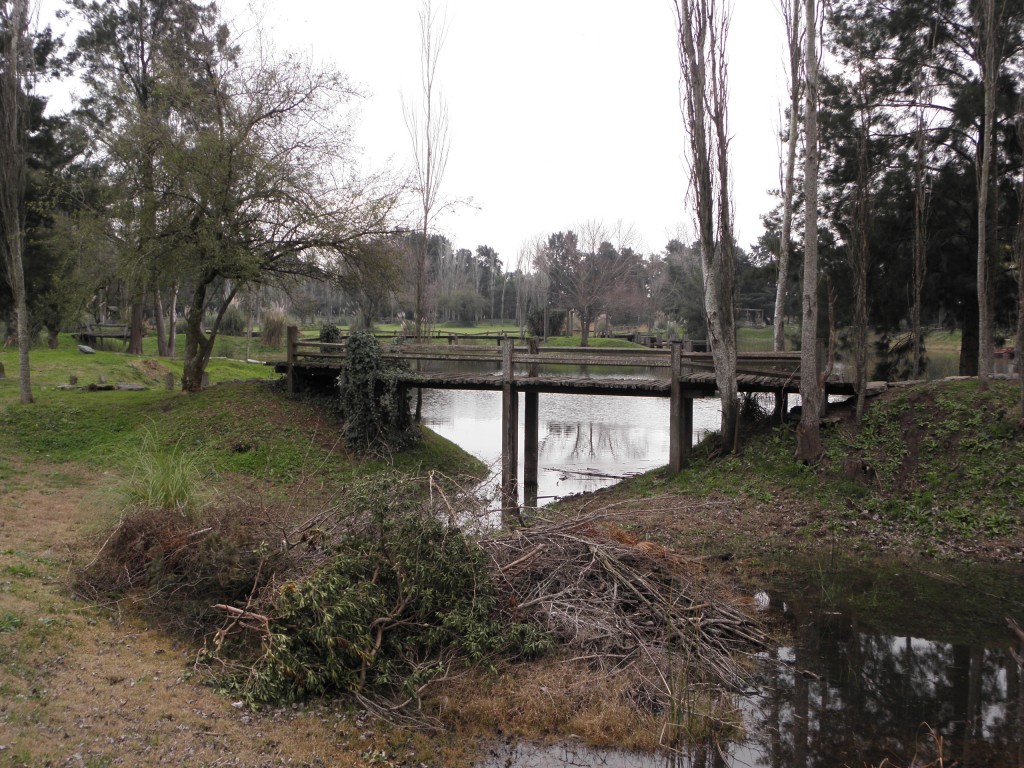 Foto: Campanópolis - González Catán (Buenos Aires), Argentina