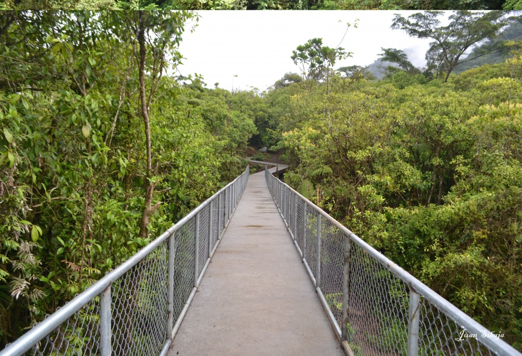 Foto de Ciuudad quesada, Rio celeste (Alajuela), Costa Rica