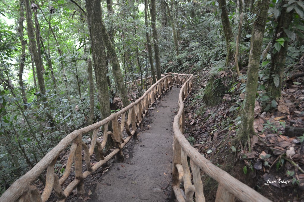 Foto de Ciuudad quesada, Rio celeste (Alajuela), Costa Rica