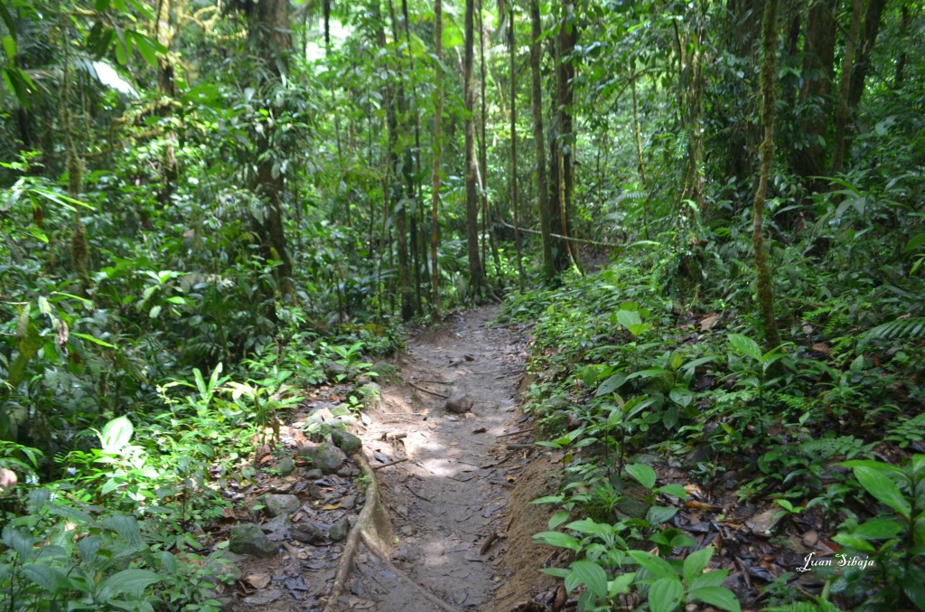 Foto de Ciuudad quesada, Rio celeste (Alajuela), Costa Rica