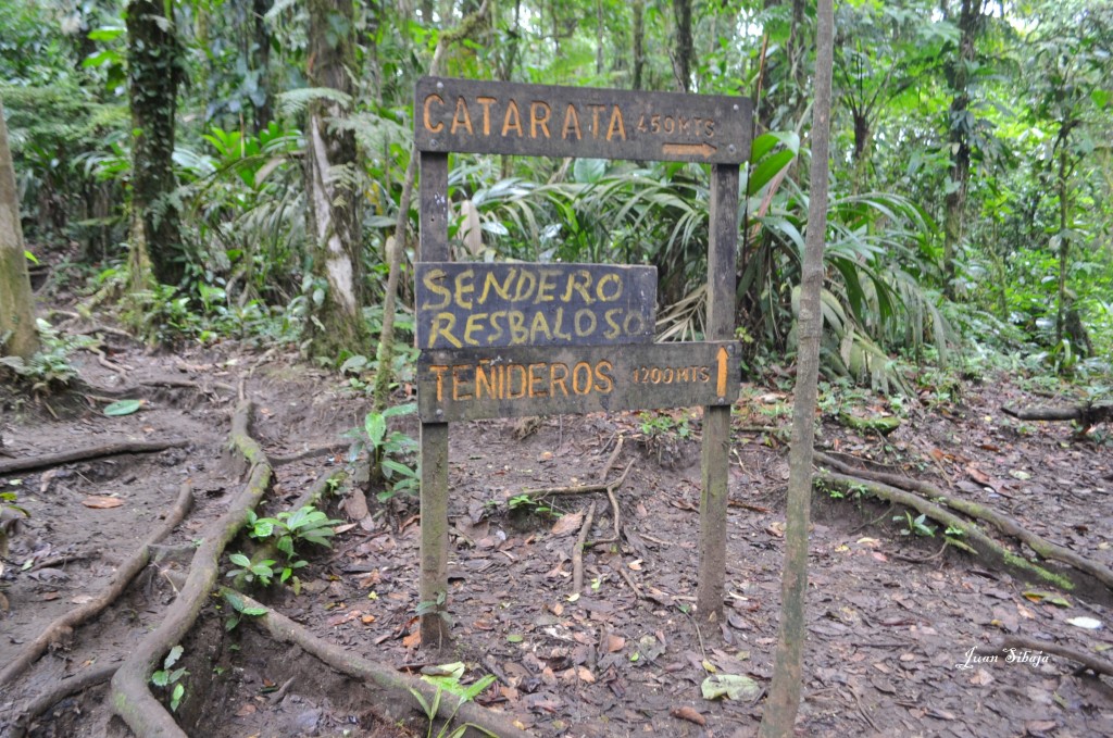 Foto de San carlos, Rio Celeste (Alajuela), Costa Rica