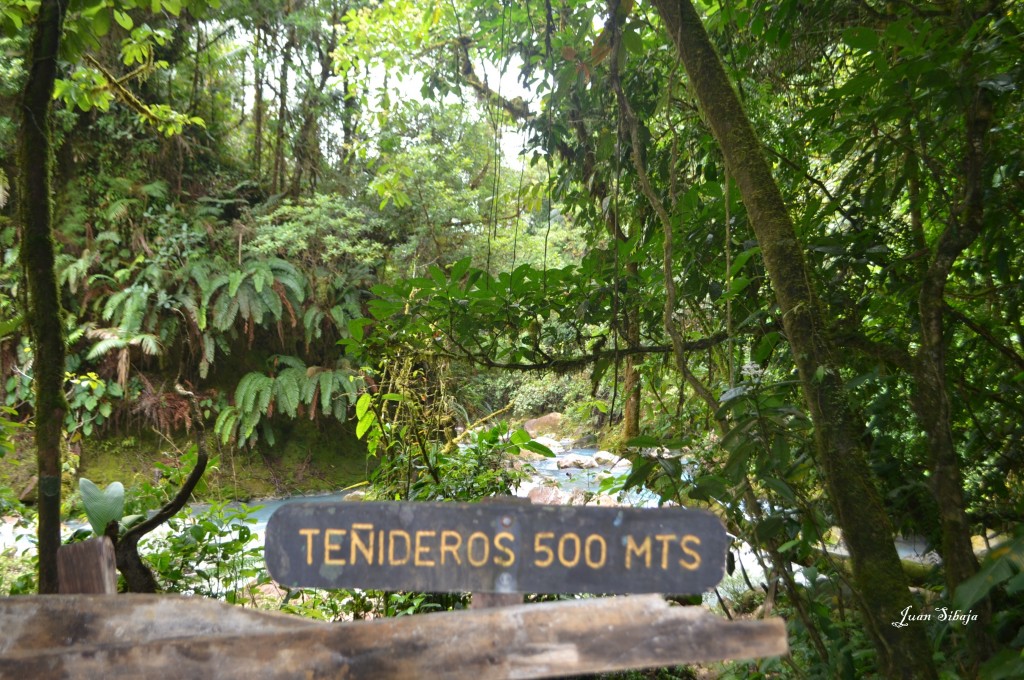 Foto de San carlos, Rio Celeste (Alajuela), Costa Rica