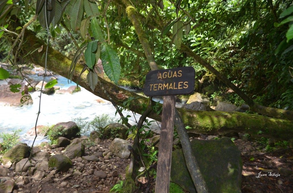 Foto de San carlos, Rio Celeste (Alajuela), Costa Rica