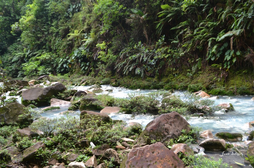 Foto de San carlos, Rio Celeste (Alajuela), Costa Rica