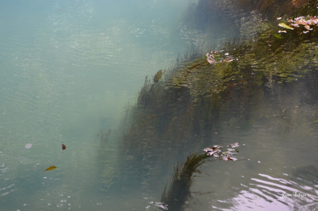 Foto de San carlos, Rio Celeste (Alajuela), Costa Rica