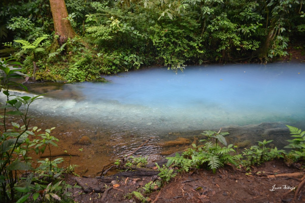 Foto de San carlos, Rio Celeste (Alajuela), Costa Rica