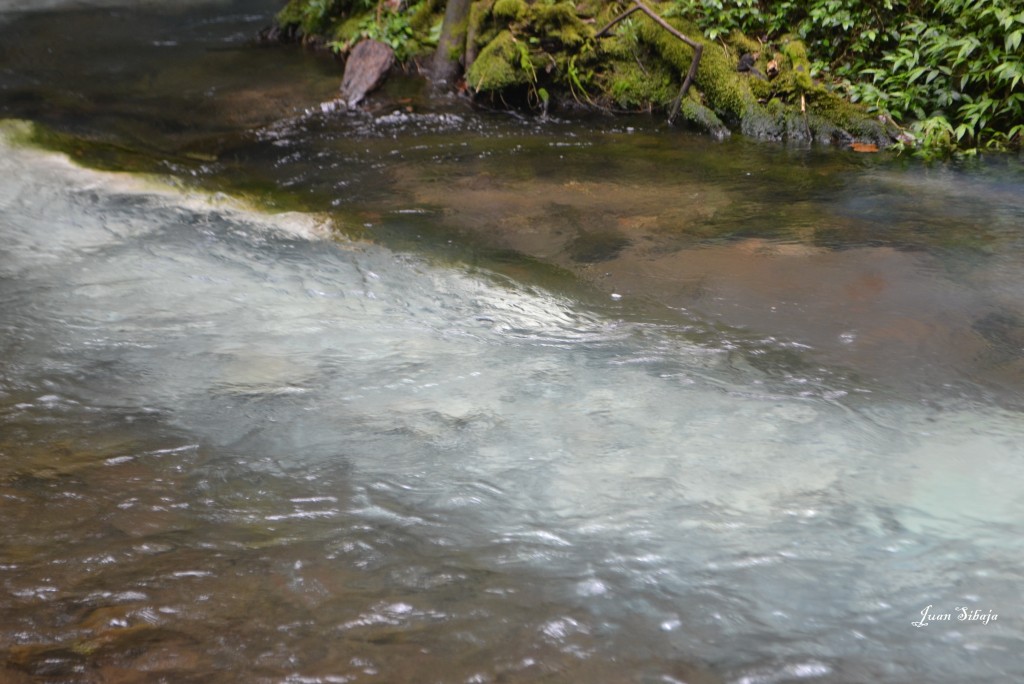 Foto de San carlos, Rio Celeste (Alajuela), Costa Rica