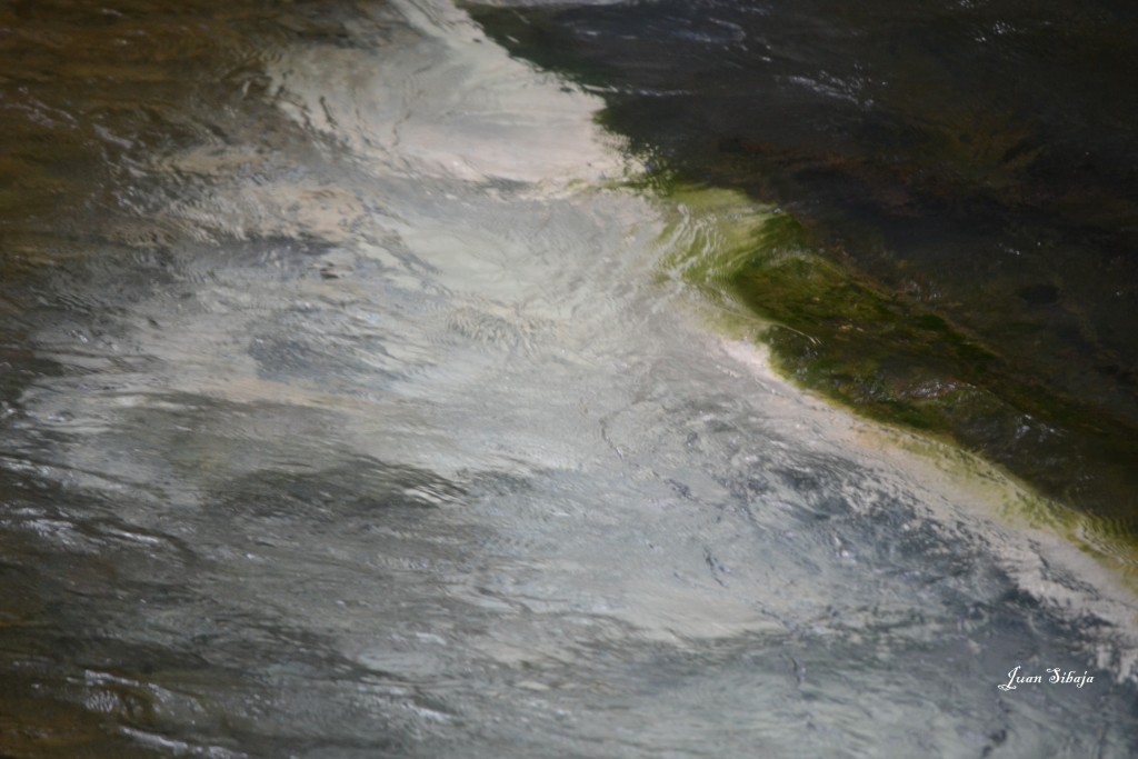 Foto de San carlos, Rio Celeste (Alajuela), Costa Rica