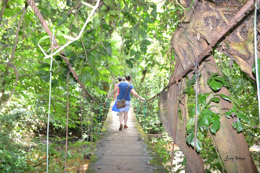 Foto de San Carlos, Rio Celeste (Alajuela), Costa Rica