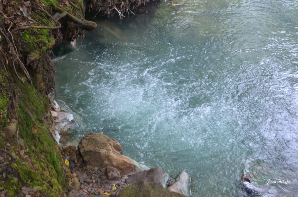 Foto de San Carlos, Rio Celeste (Alajuela), Costa Rica