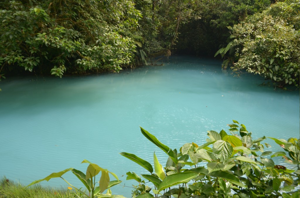Foto de San Carlos, Rio Celeste (Alajuela), Costa Rica