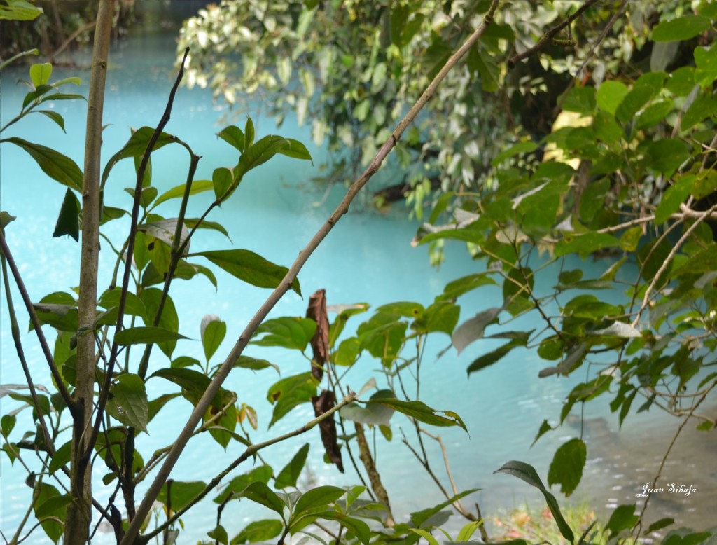 Foto de San Carlos, Rio Celeste (Alajuela), Costa Rica