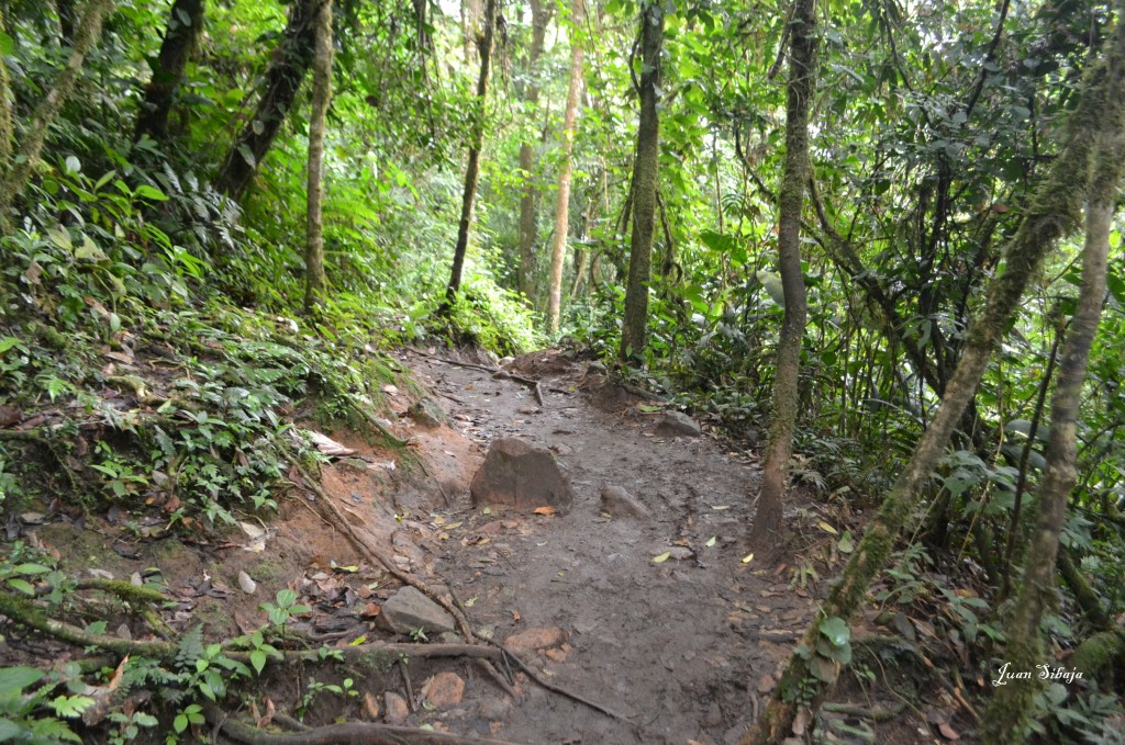 Foto de San Carlos, Rio Celeste (Alajuela), Costa Rica