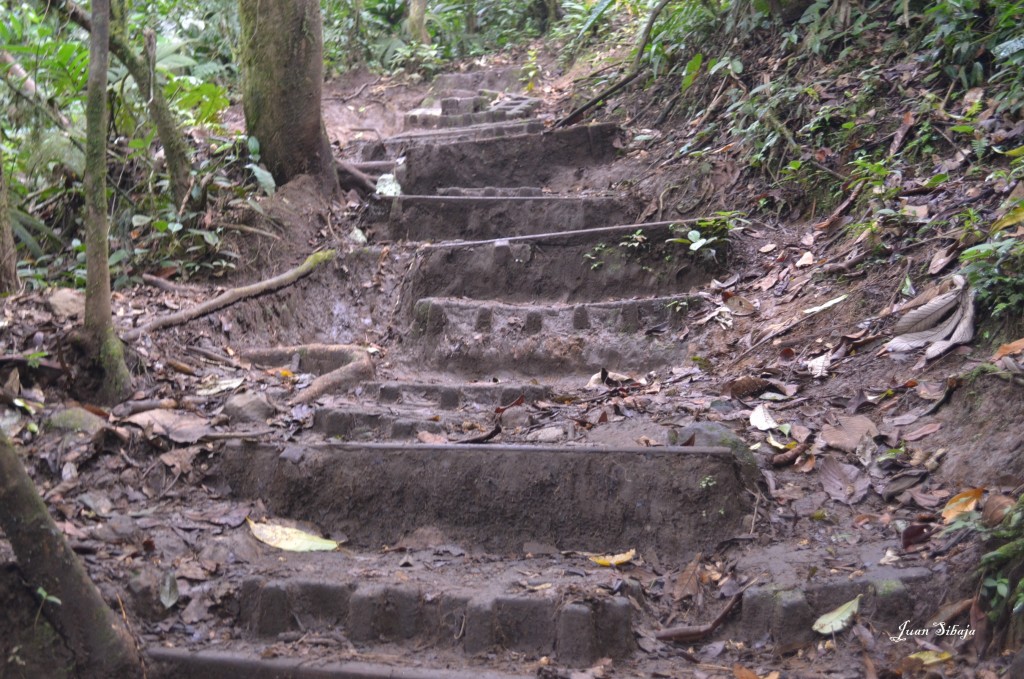 Foto de San Carlos, Rio Celeste (Alajuela), Costa Rica