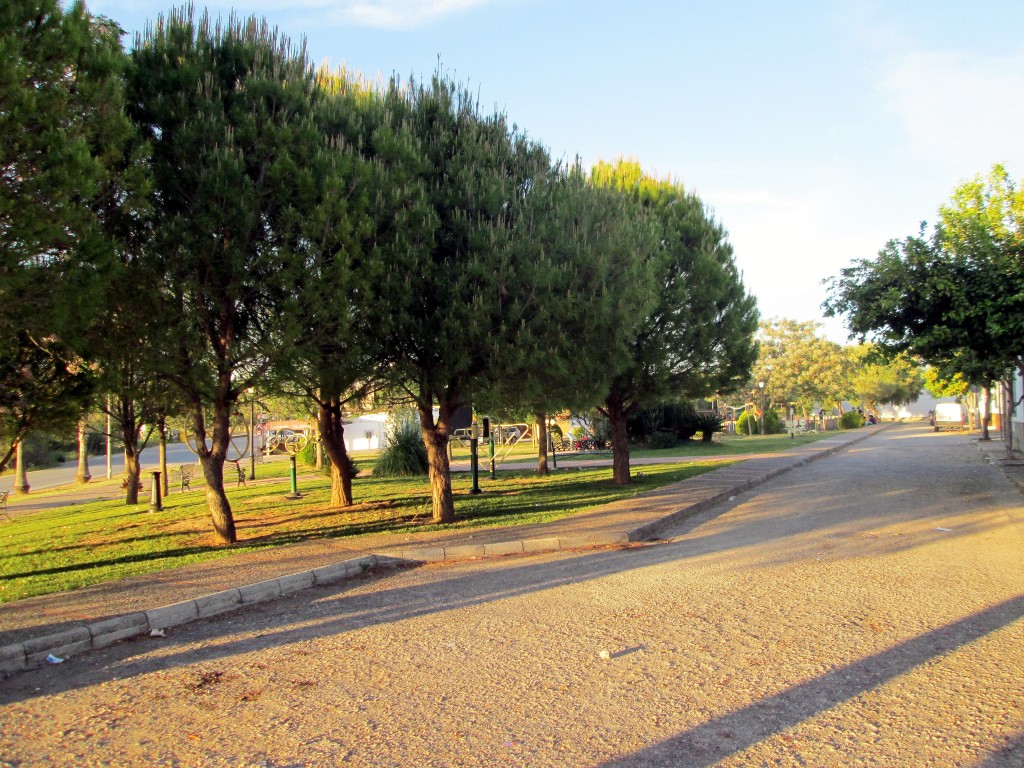 Foto: Parque del Coto Escolar - Torrecera (Cádiz), España