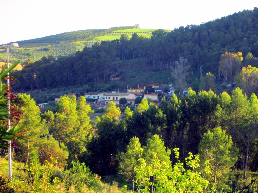 Foto: Vista desde Torrecera - Torrecera (Cádiz), España