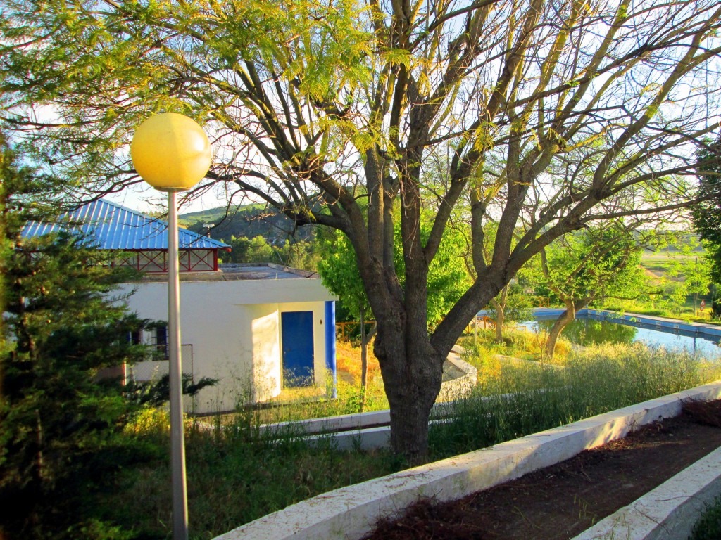 Foto: Piscina Municipal - Torrecera (Cádiz), España