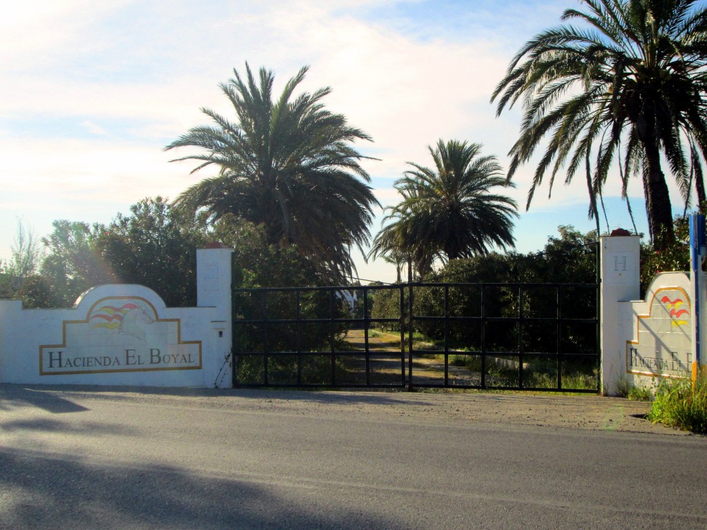 Foto: Hacienda el Boyal - Torrecera (Cádiz), España