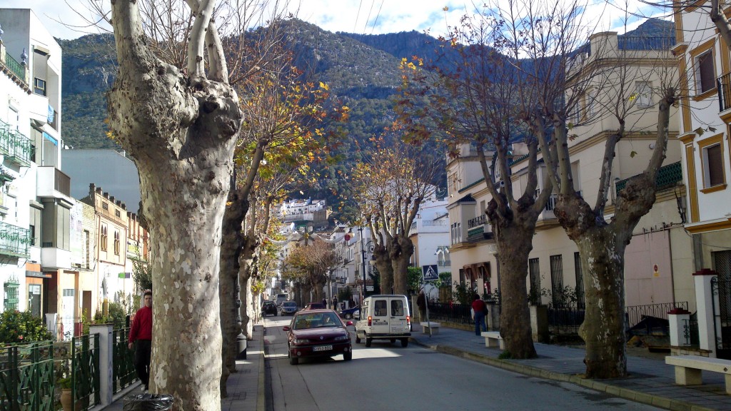 Foto: Calle Dr. Solís Pascual - Ubrique (Cádiz), España