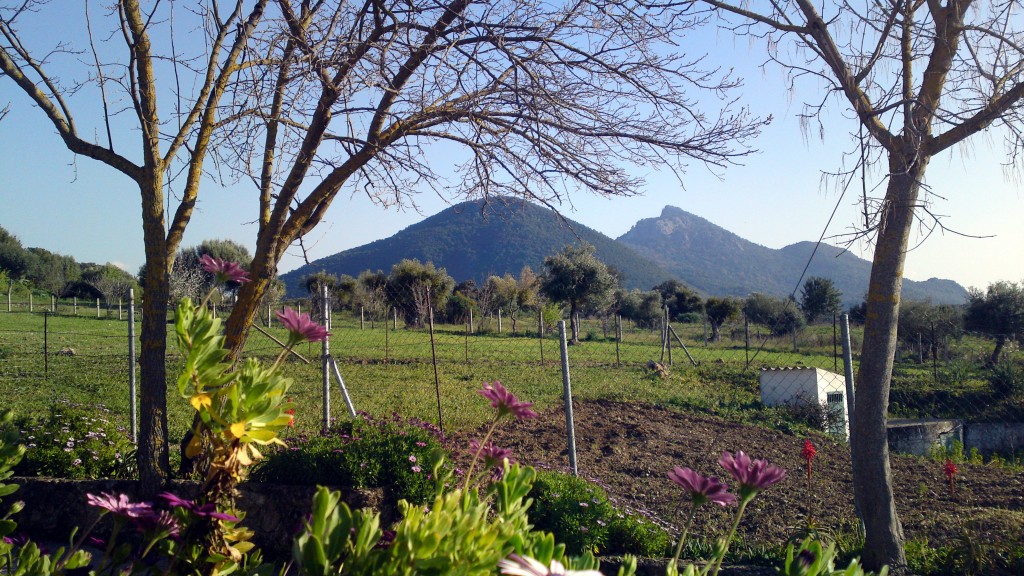 Foto: Sierra de Ubrique - Ubrique (Cádiz), España