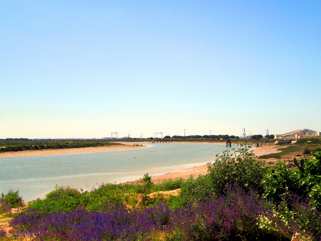 Foto: Río San Pedro - Valdelagrana (Cádiz), España