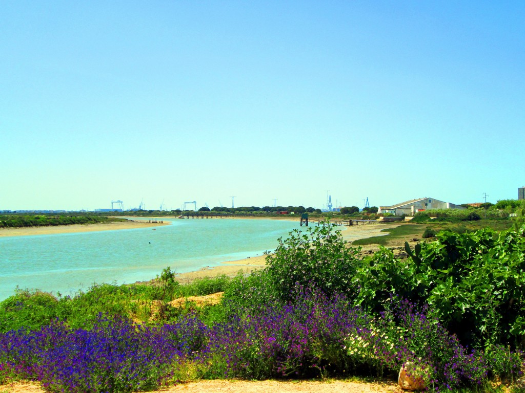 Foto: Río San Pedro - Valdelagrana (Cádiz), España