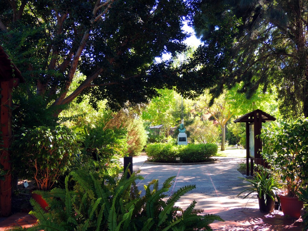 Foto: Jardín Botánico Celestino Mutis - Rota (Cádiz), España