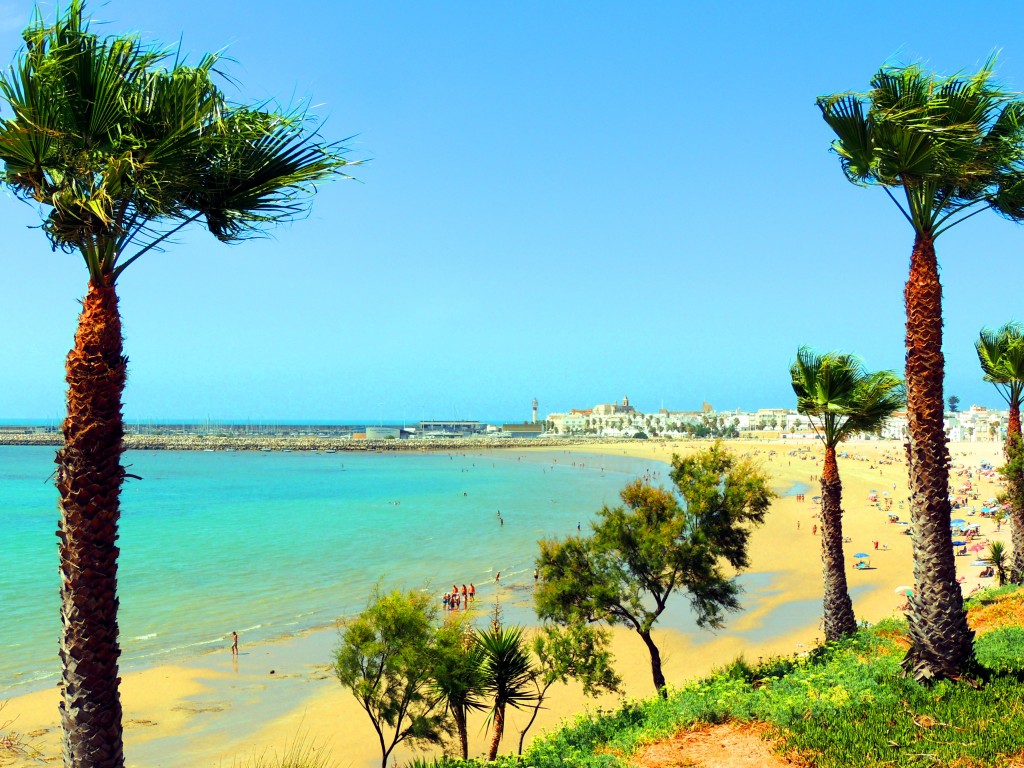 Foto: Las Palmeras - Rota (Cádiz), España