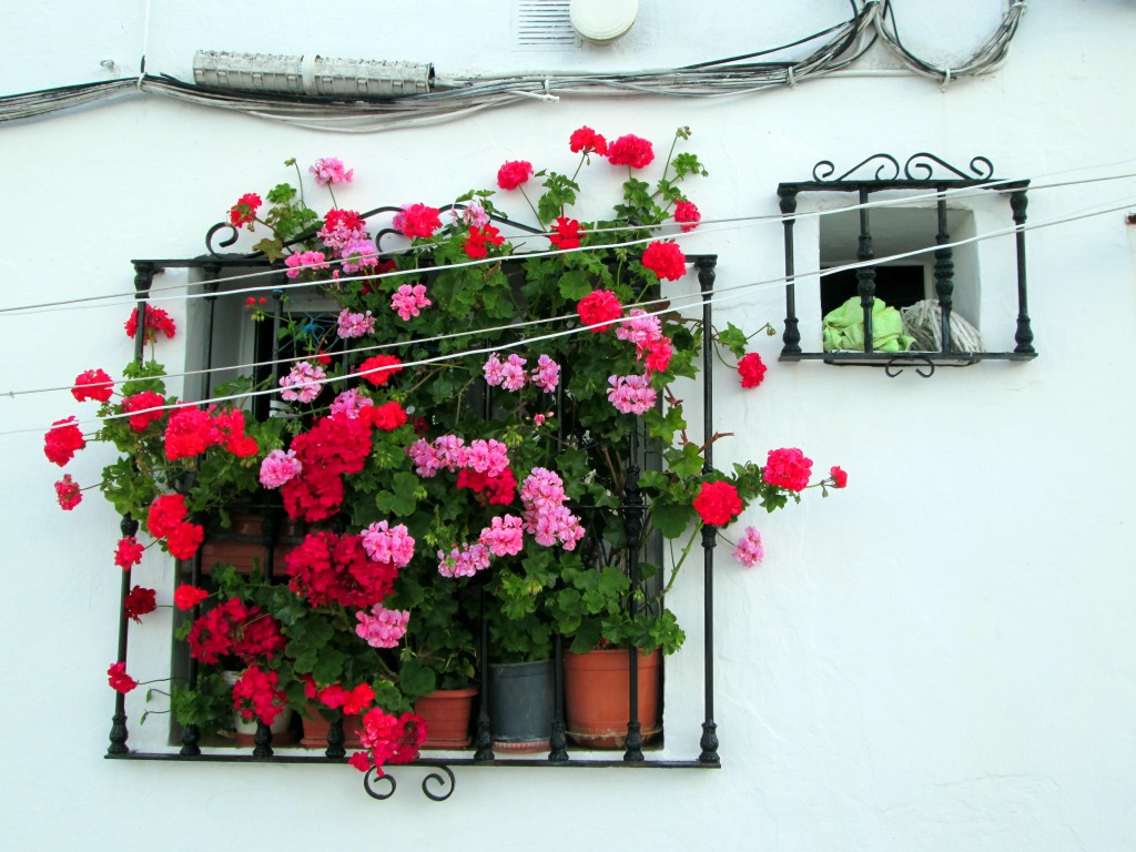 Foto: Madre e hija - Vegér de la Frontera (Cádiz), España