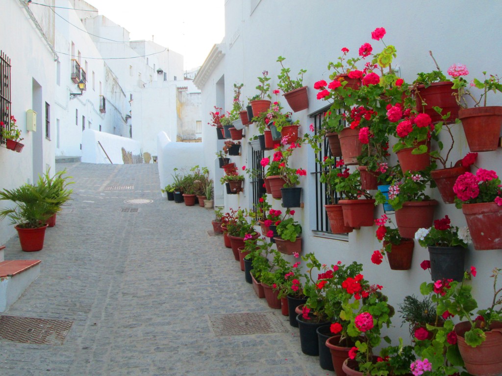 Foto: Decoración floral - Vegér de la Frontera (Cádiz), España
