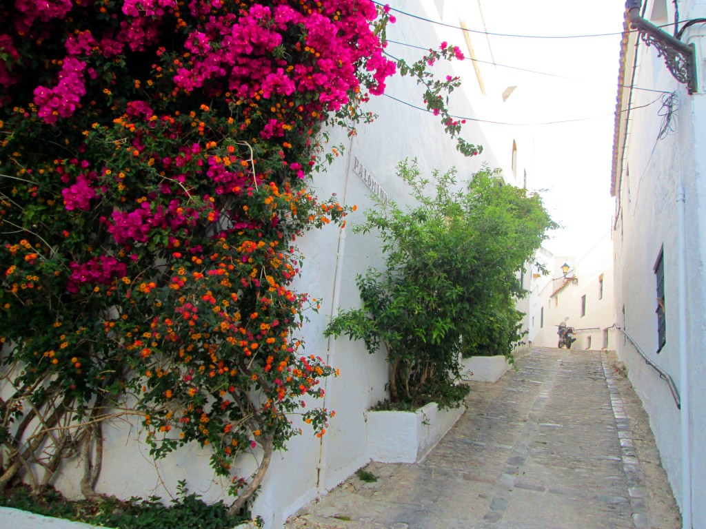 Foto: Calle Palomina - Vegér de la Frontera (Cádiz), España