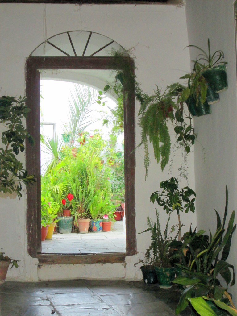 Foto: Patio de Vecinos - Vegér de la Frontera (Cádiz), España