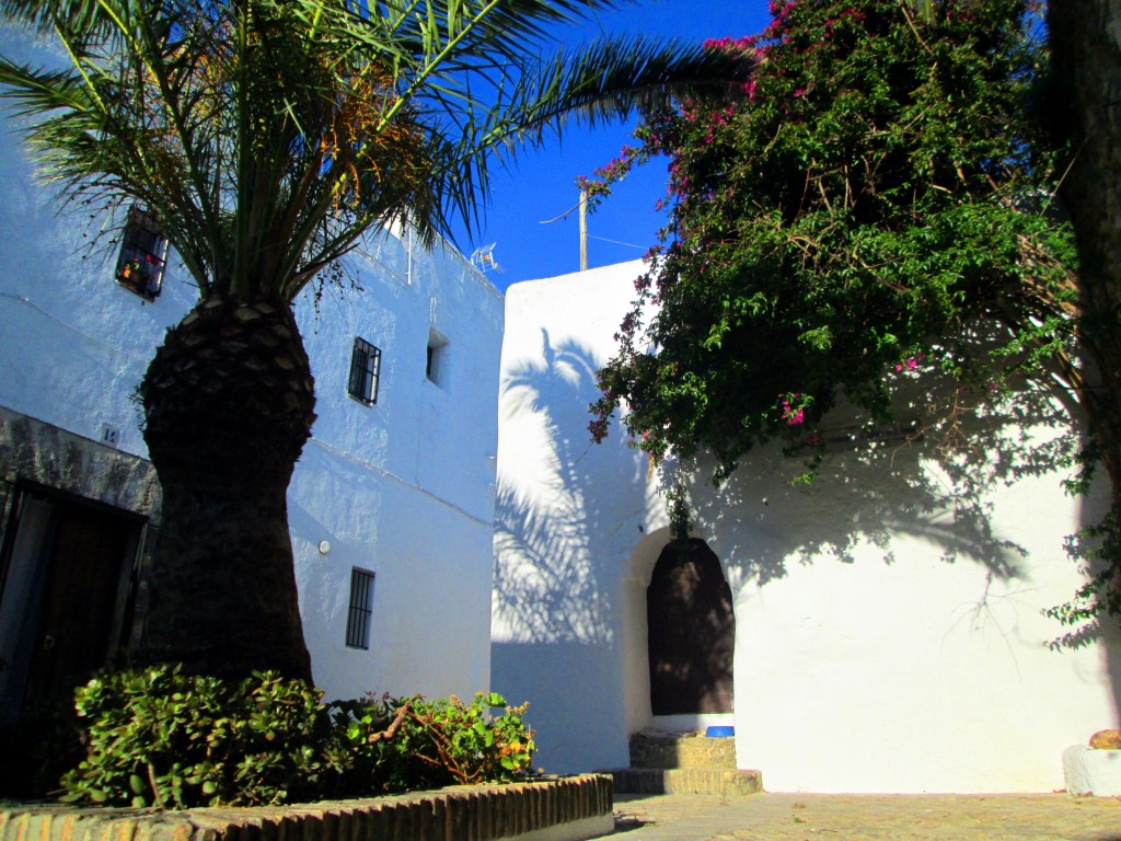 Foto: Las Cobijás, un relampago de Al-Andalus en el tiempo - Vegér de la Frontera (Cádiz), España