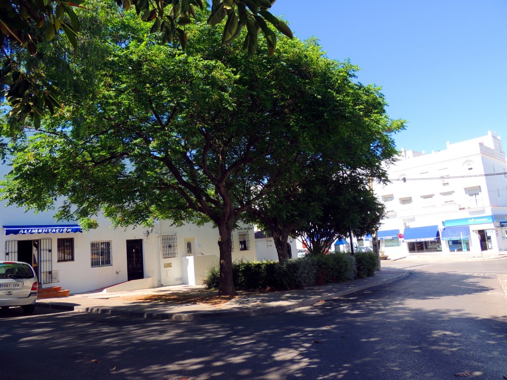 Foto: Calle Blás Infante - Vegér de la Frontera (Cádiz), España