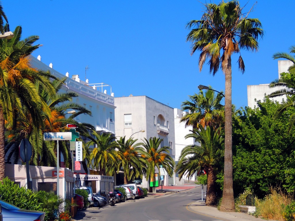 Foto: Avenida Buenavista - Vegér de la Frontera (Cádiz), España
