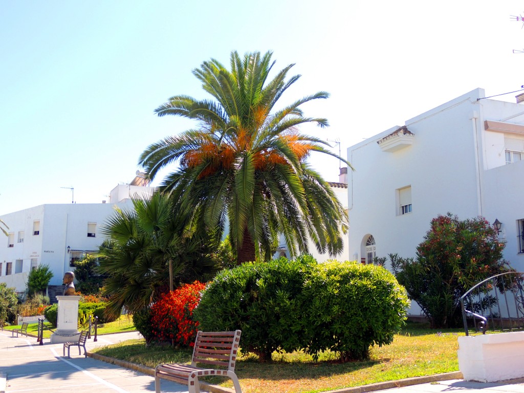 Foto: Plaza Alarife - Vegér de la Frontera (Cádiz), España
