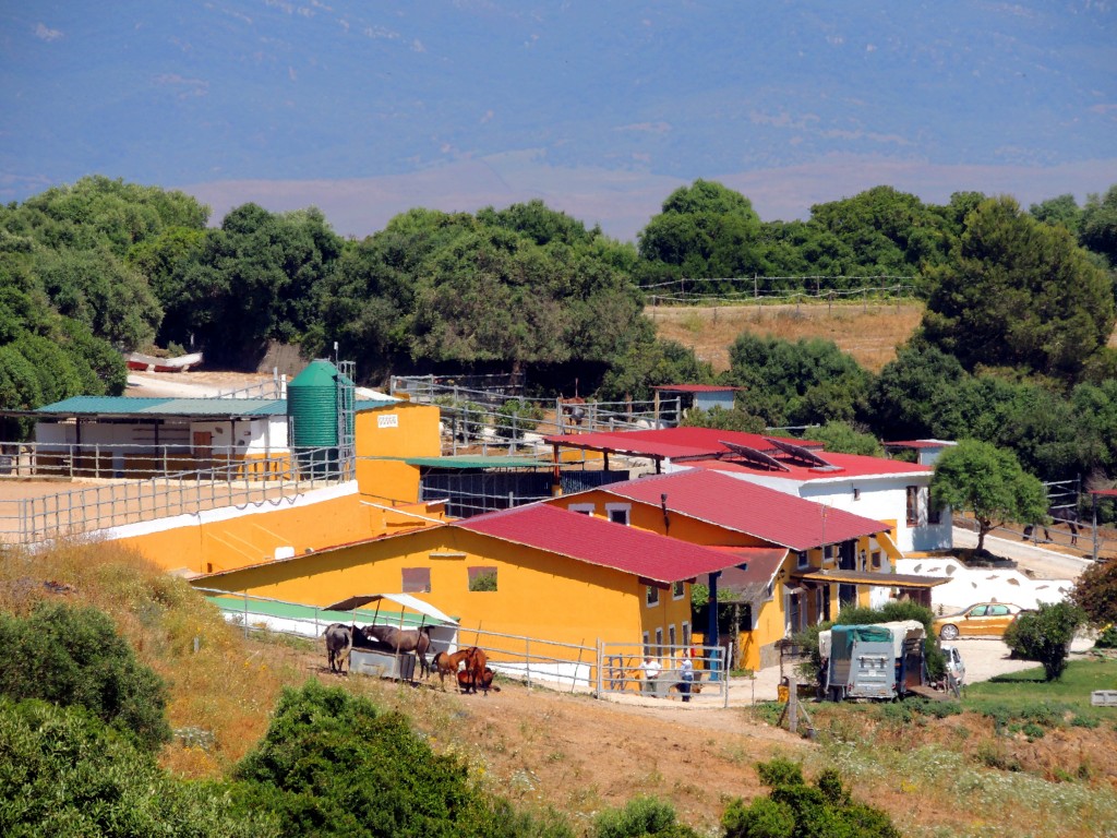 Foto: Yeguada Sarmiento - Vegér de la Frontera (Cádiz), España