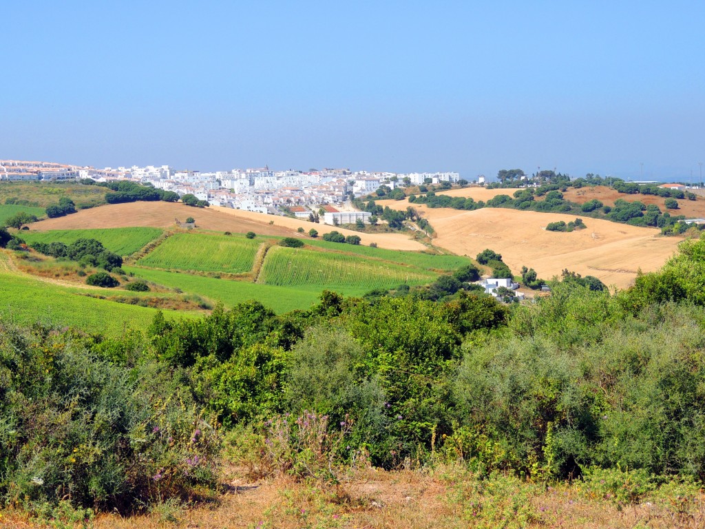 Foto: Besaro en la época preromana - Vegér de la Frontera (Cádiz), España