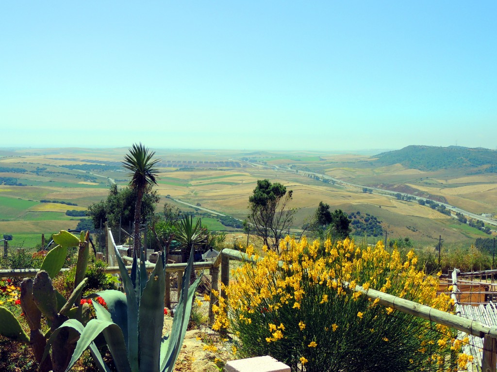 Foto: Vista desde el Restaurante - Vegér de la Frontera (Cádiz), España