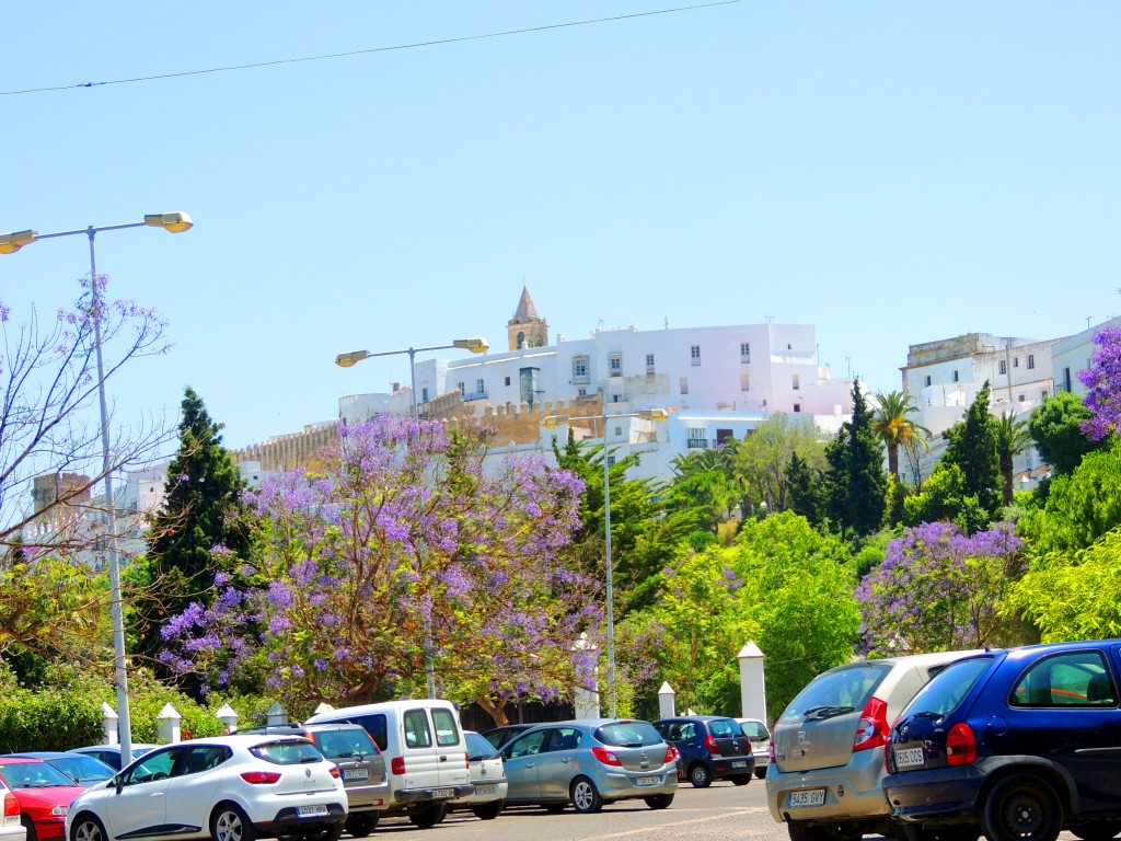 Foto: El Campanario y la Torre del Castillo - Vegér de la Frontera (Cádiz), España