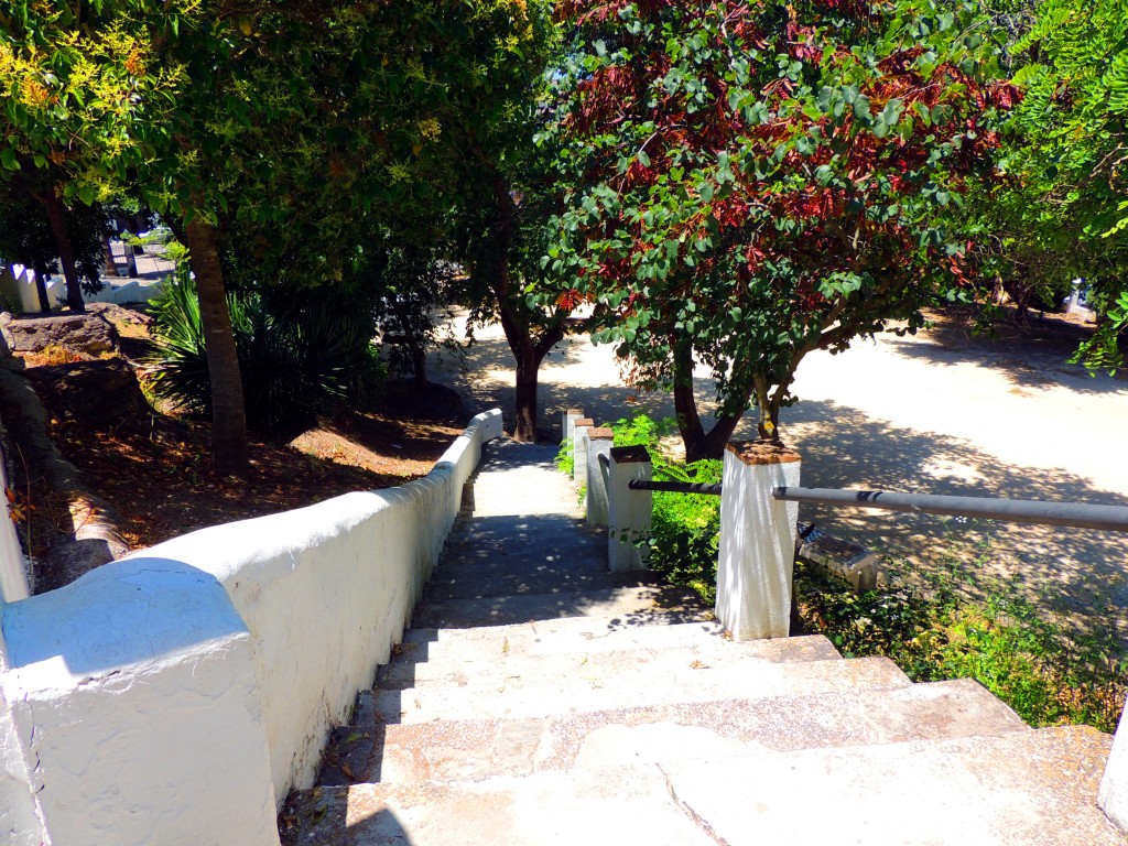 Foto: Bajada al Parque - Vegér de la Frontera (Cádiz), España