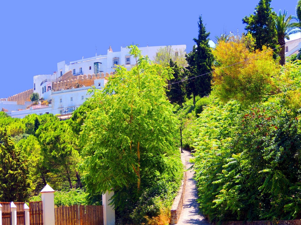 Foto: Parque Los remedios - Vegér de la Frontera (Cádiz), España