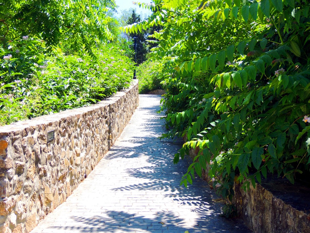 Foto: Acceso a Los Remedios - Vegér de la Frontera (Cádiz), España