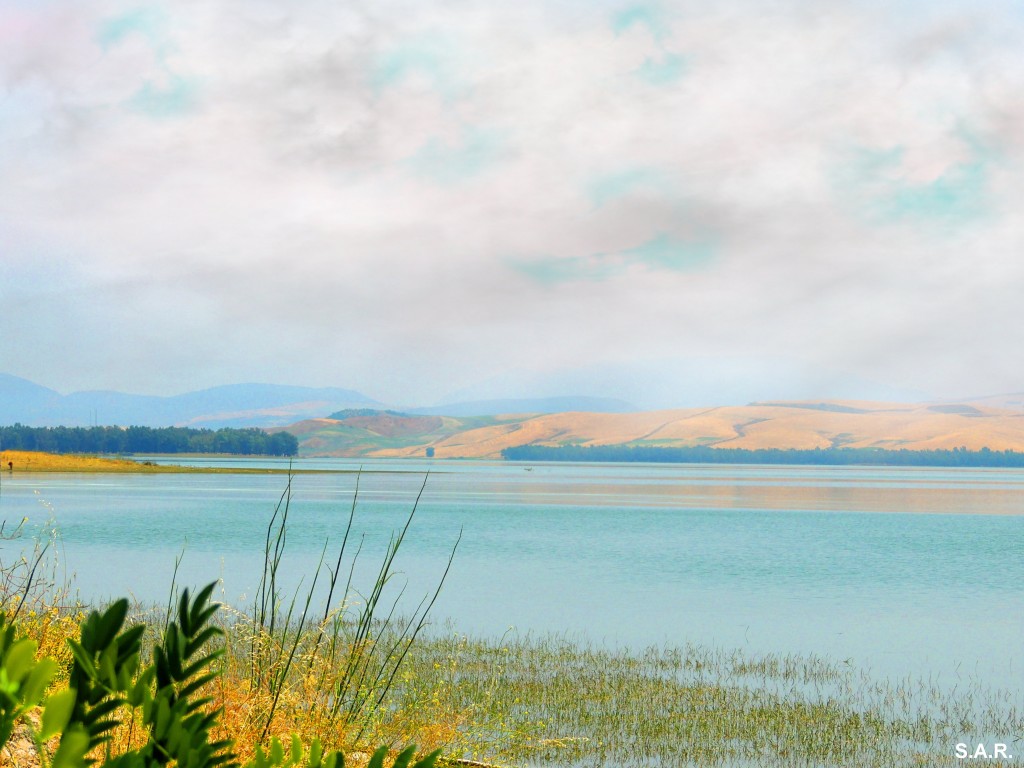 Foto: Embalse de Bornos - Bornos (Cádiz), España