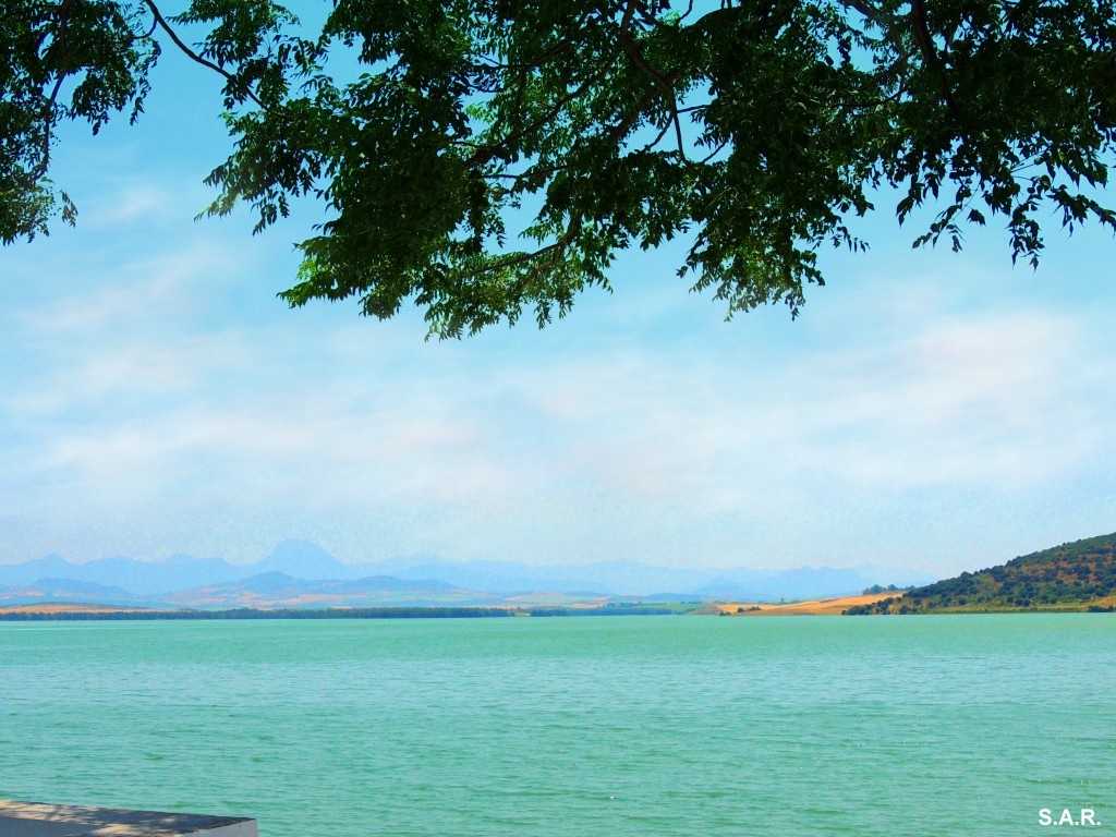Foto: ¿ Hawai ? Noooo, esto es Bornos - Bornos (Cádiz), España
