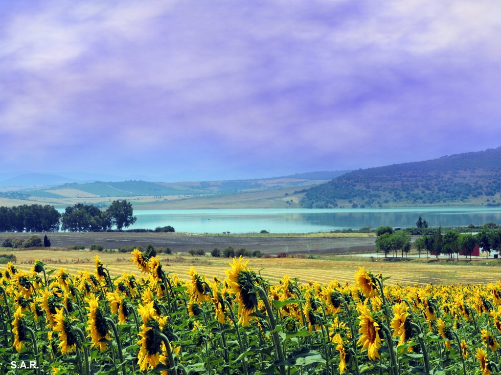 Foto: Vista hacia el Lago - Bornos (Cádiz), España