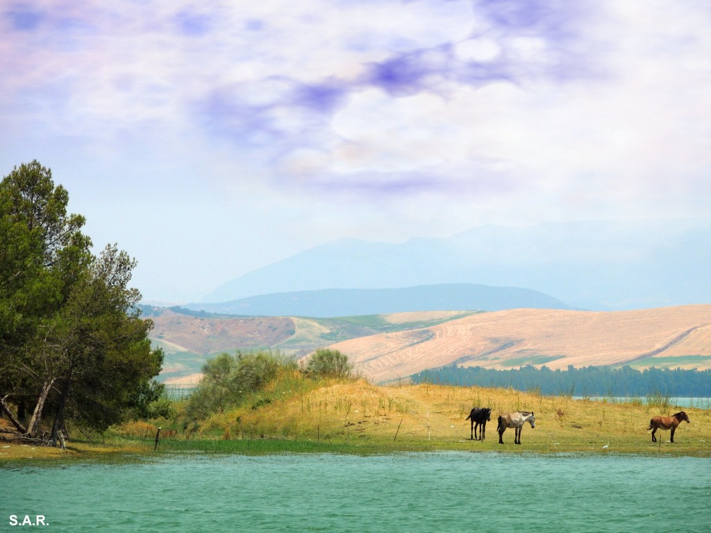 Foto: Están en la gloria - Bornos (Cádiz), España