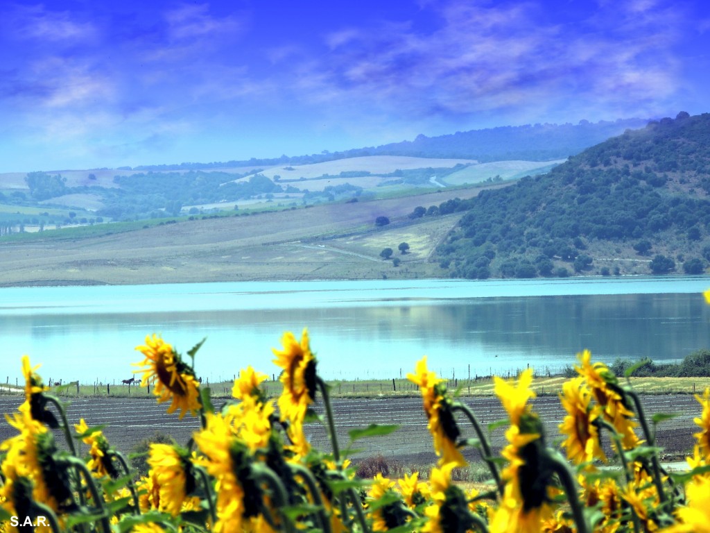 Foto: Vistas ala presa - Bornos (Cádiz), España