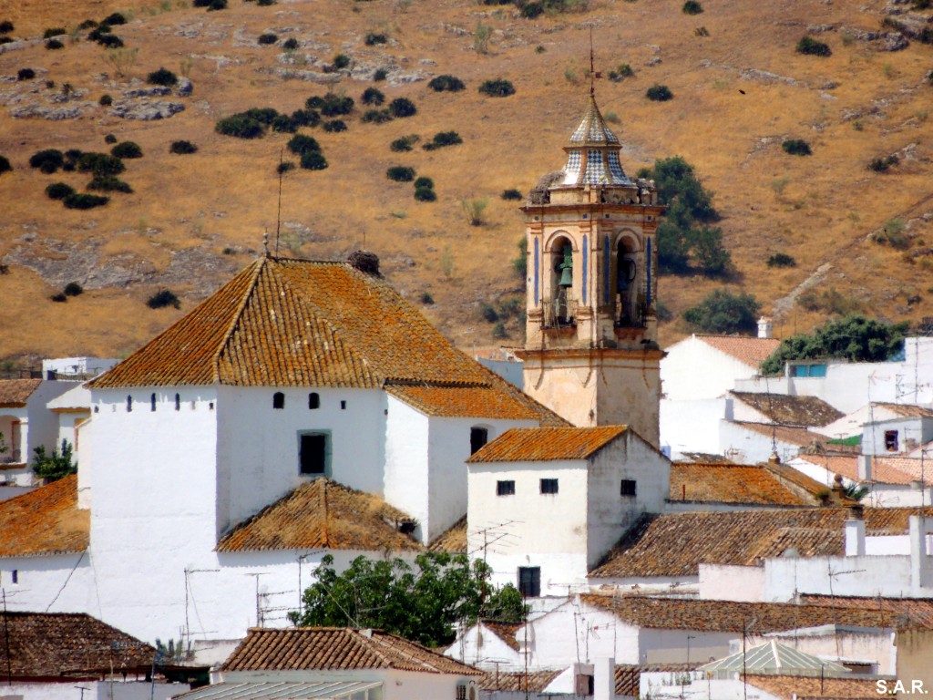 Foto: Campanario de Santo Domingo - Bornos (Cádiz), España